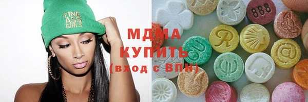 индика Алексин
