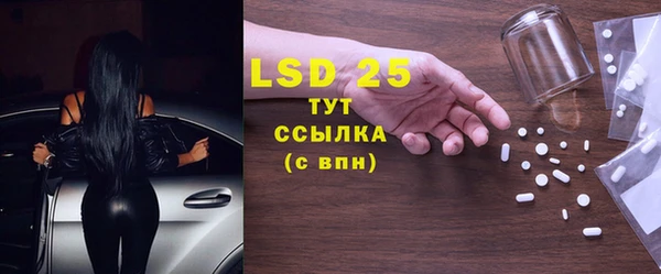 индика Алексин