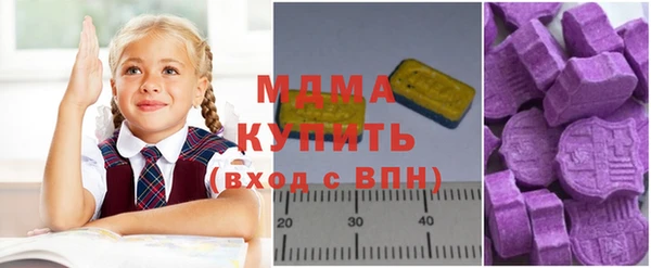 индика Алексин