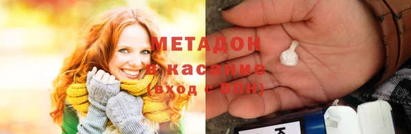 индика Алексин