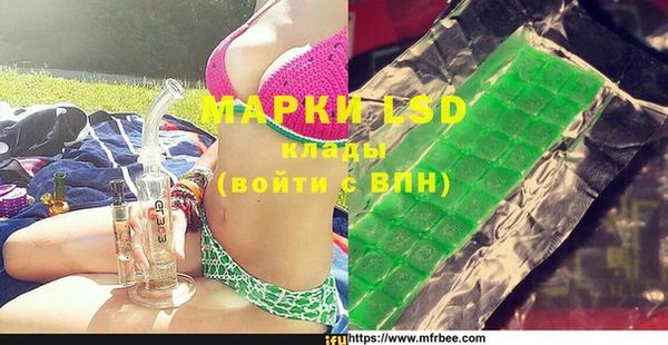 индика Алексин