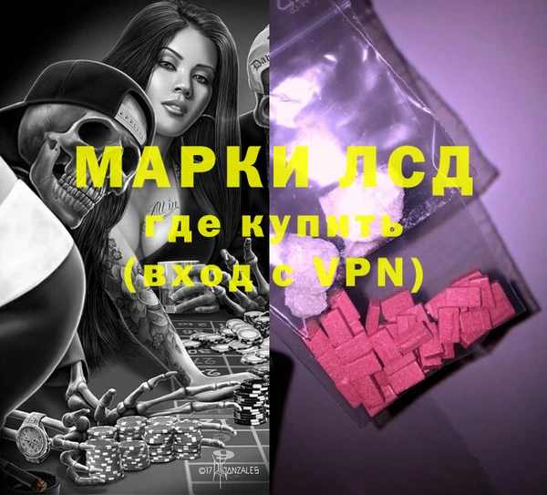 индика Алексин