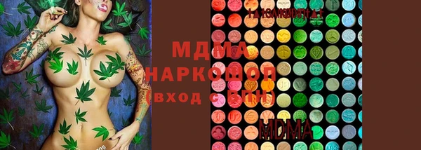 молекула духа Ельня